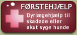 Førstehjælp